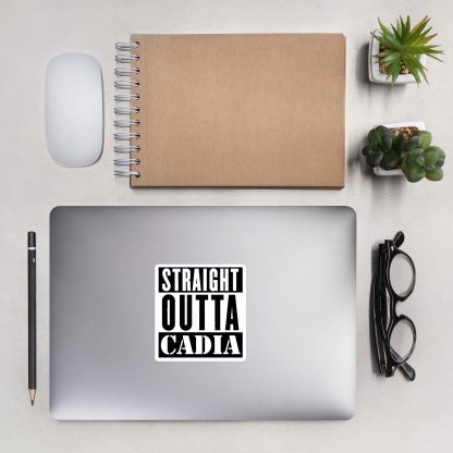 warhammer 40k imperial guard straight outta cadia vinyl sticker