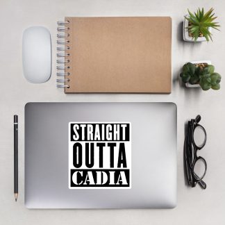 warhammer 40k imperial guard straight outta cadia vinyl sticker