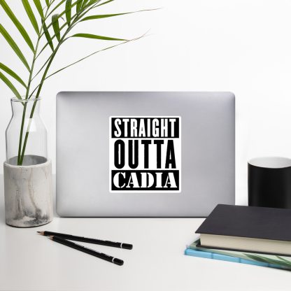 warhammer 40k imperial guard straight outta cadia vinyl sticker