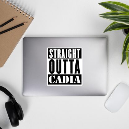 warhammer 40k imperial guard straight outta cadia vinyl sticker
