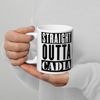 warhammer 40k straight outta cadia imperial guard ceramic mug